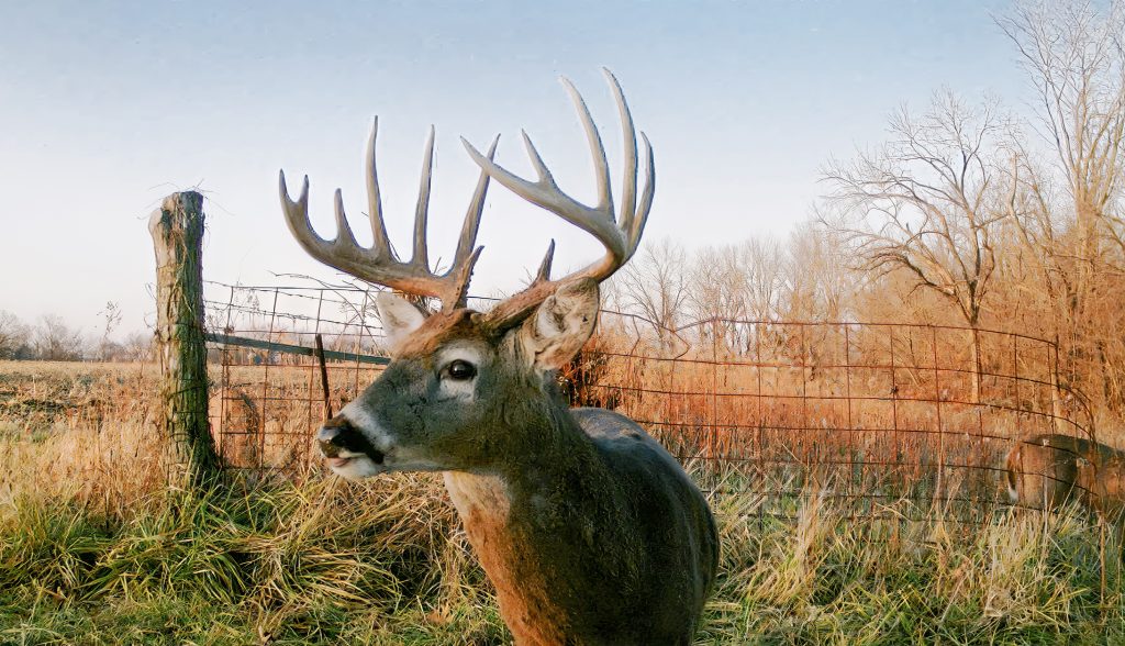 Investments And Hunting Land - Hadley Creek Outfitters