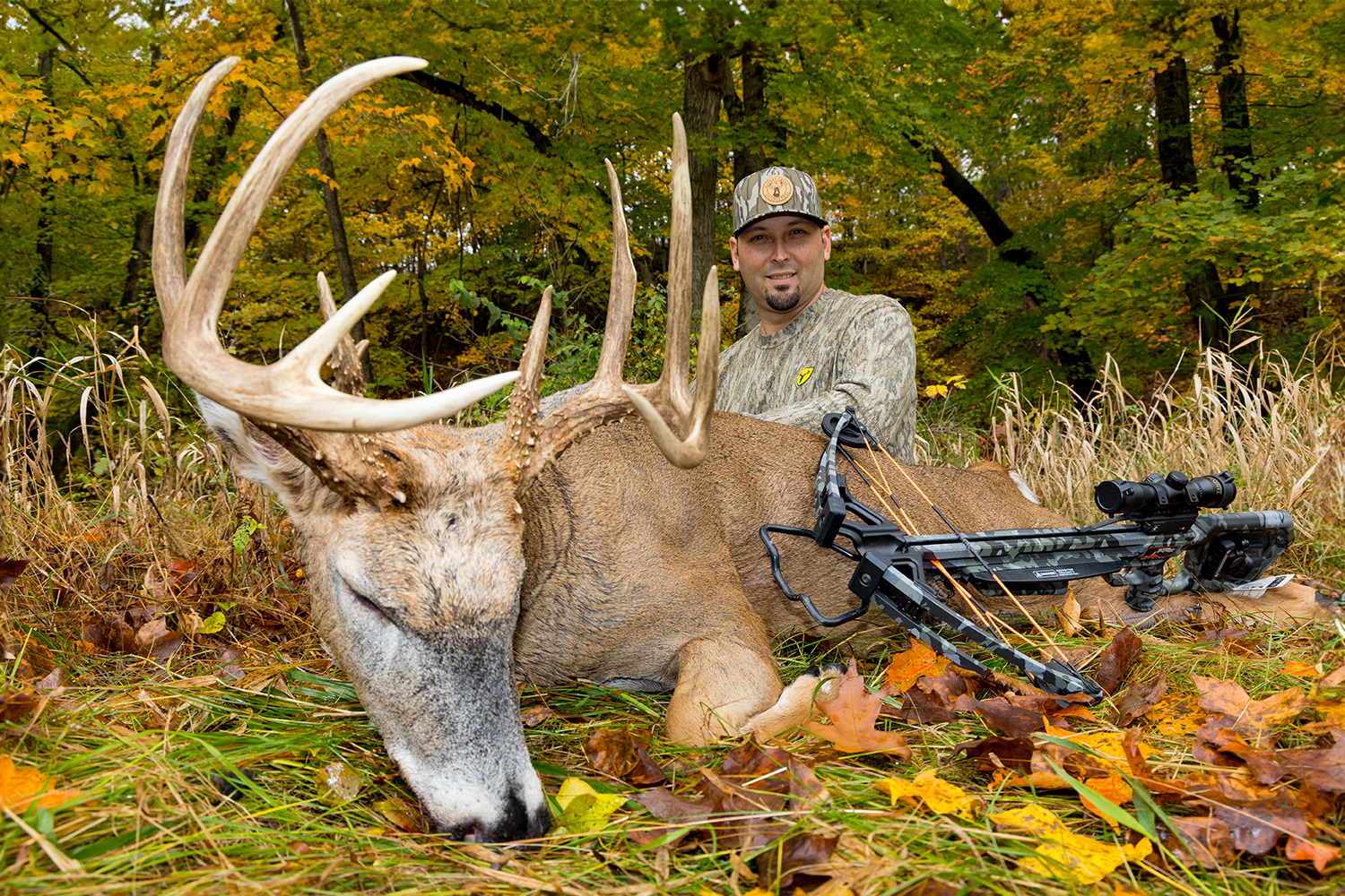 Trophy Whitetail Buck from Hadley Creek Outfitters
